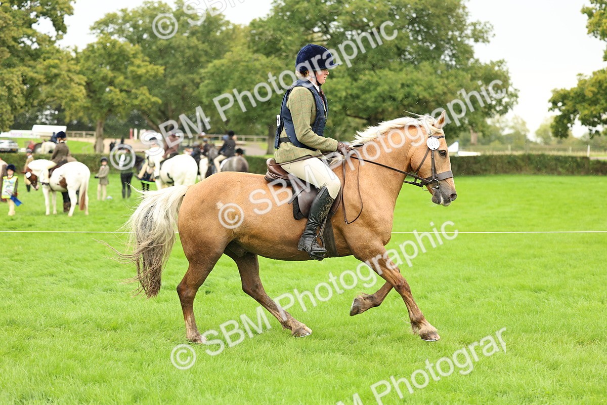 1I0A1449 - S32 - Mountain & Moorland Working Hunter Pony