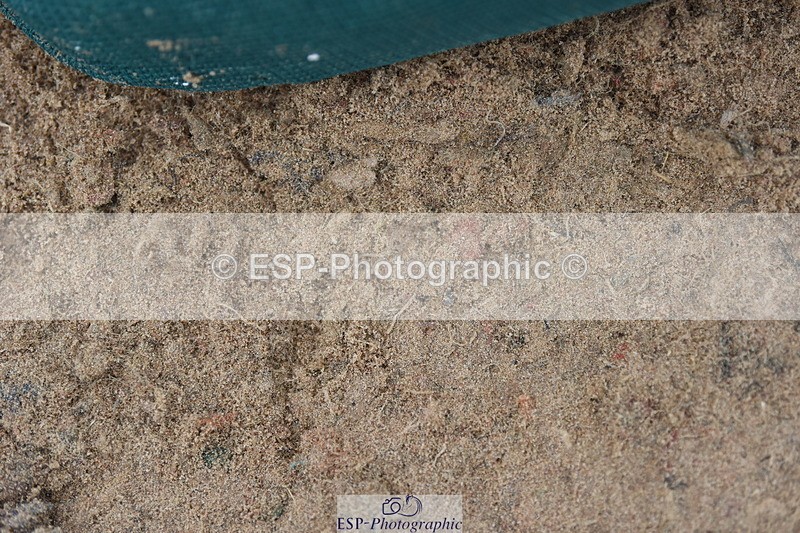 230916A-160352-05477 - Cls 18 Snr 95cm Derby