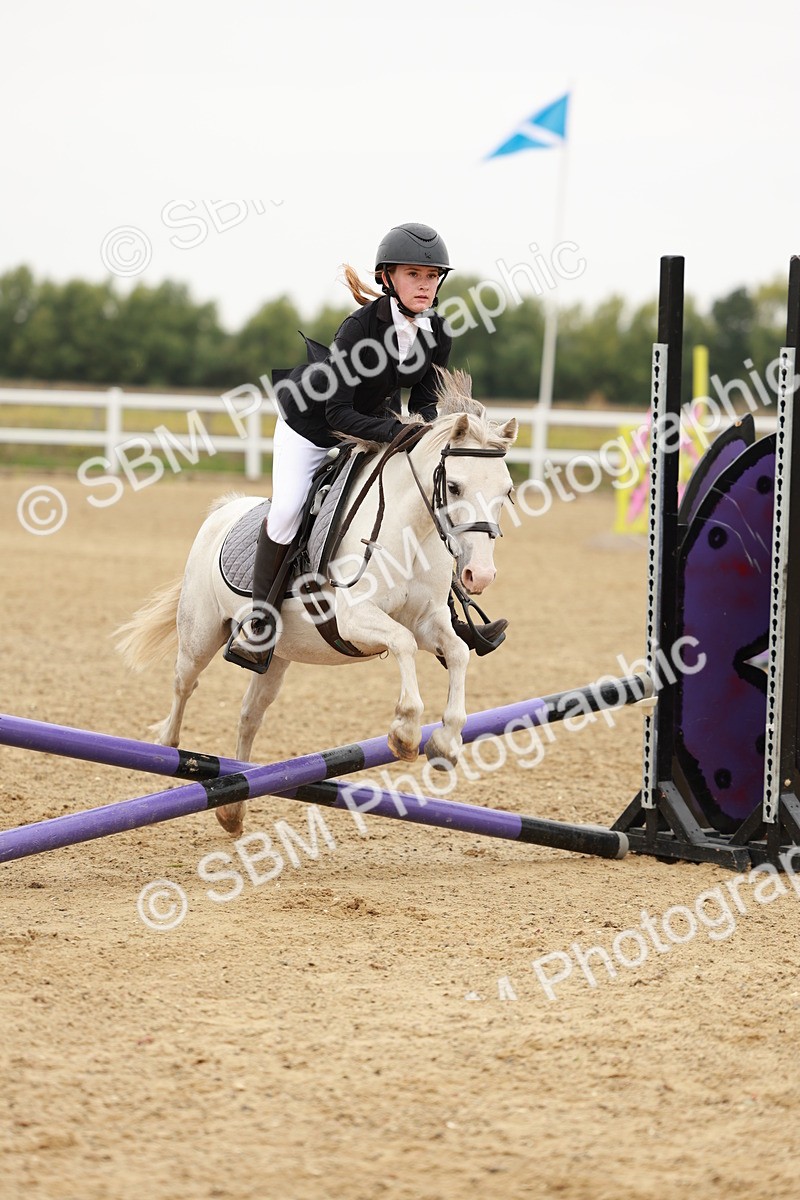 SBM_007113 - Class 1 - 40cm