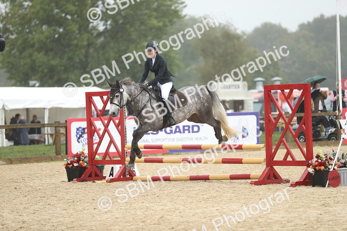 SBM_73961 - J16 - Junior Pony 75cm Championship