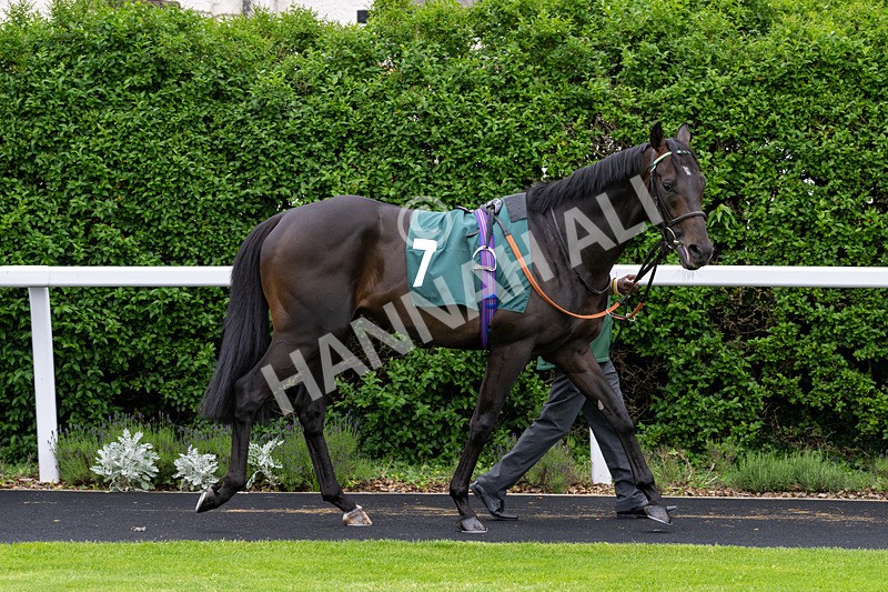 230524-Race 3-See The Green-1432 - Race 3