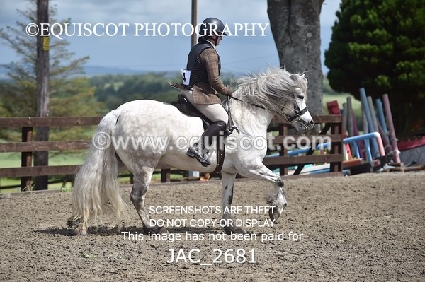 JAC_2681 - CLASS 4 BSPS Scone Palace HT Training Stakes Series