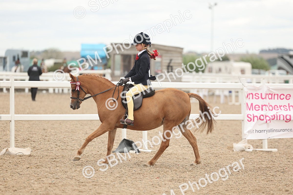 SBM_19155 - Class 316 - Best Pony-Rider Combination