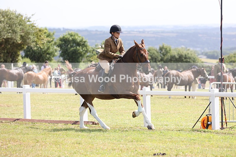JPP_1388 - Class 17: Cornish Combination Open