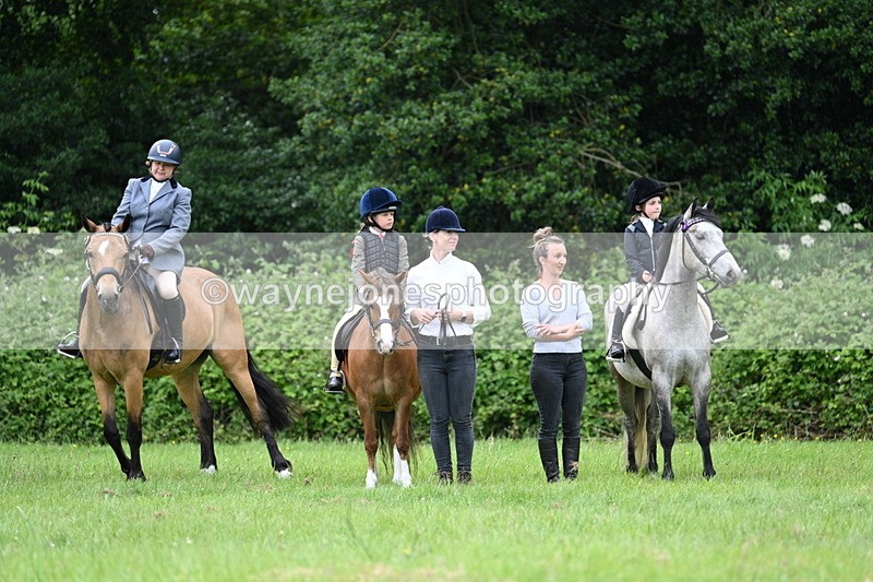 WJ7_4193 - Class 14A Handsome Gelding