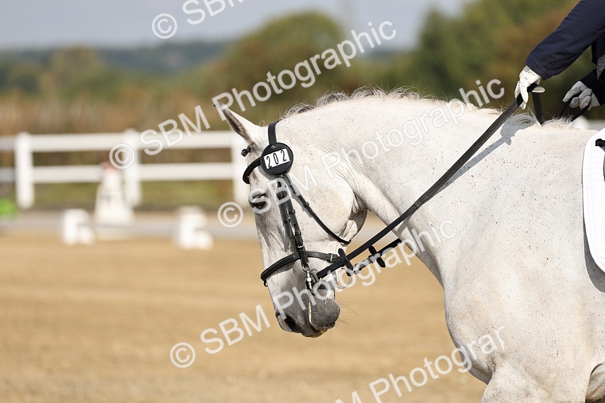 SBM_017410