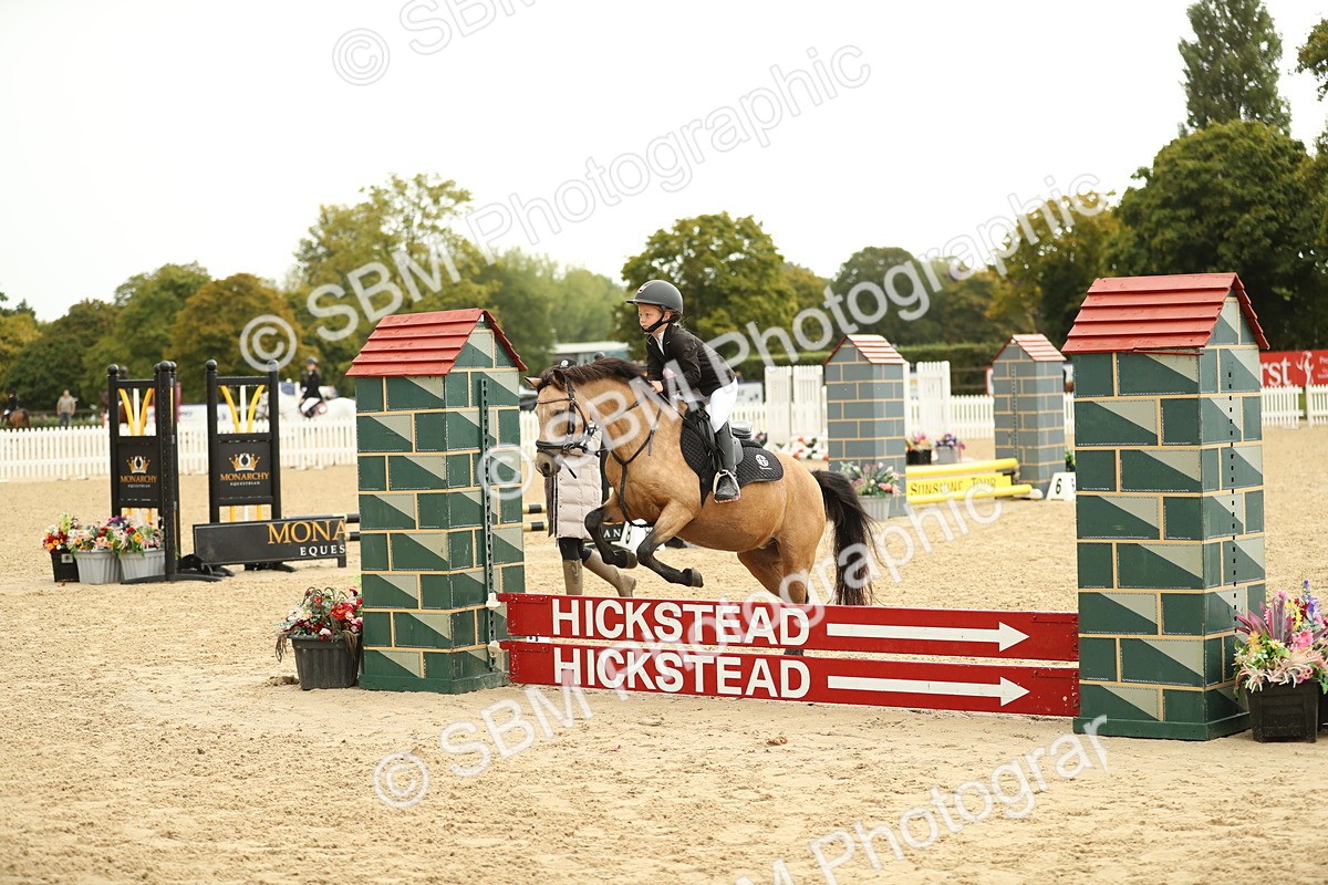 SBM_34266 - J60 Clear Round 50cm