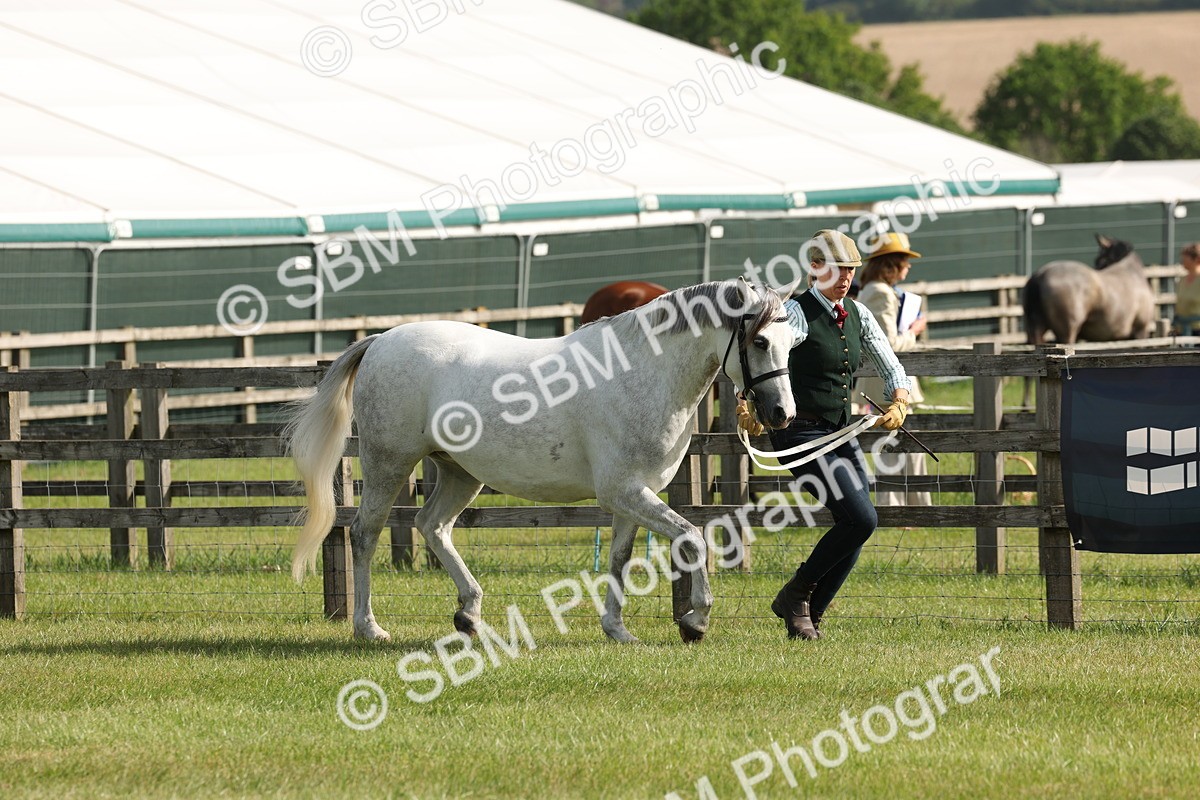 SBM_00734 - Class 6-13 - Mountatin and Moorland In Hand Welsh Breeds