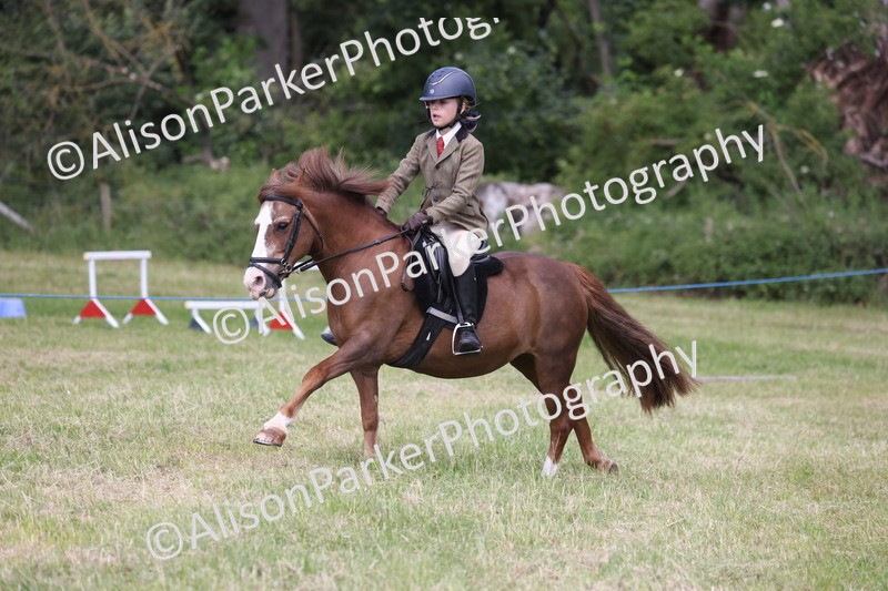 20260614-2083 - Class 21 - Novice Working Hunter Pony