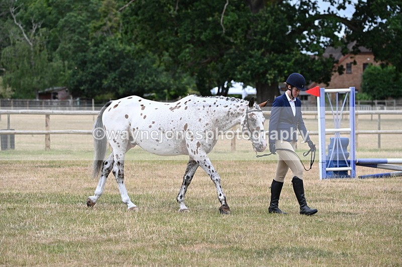 WJ6_4575 - Class 10 Coloured In-hand