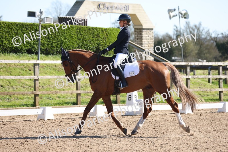 20260318-0540 - Class 5 - Novice 2