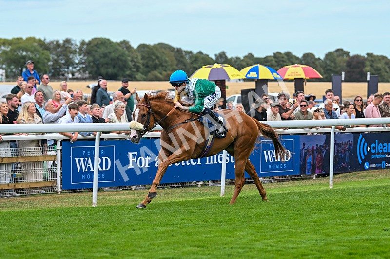 300825-Race 2-Shagraan-0687 - Race 2