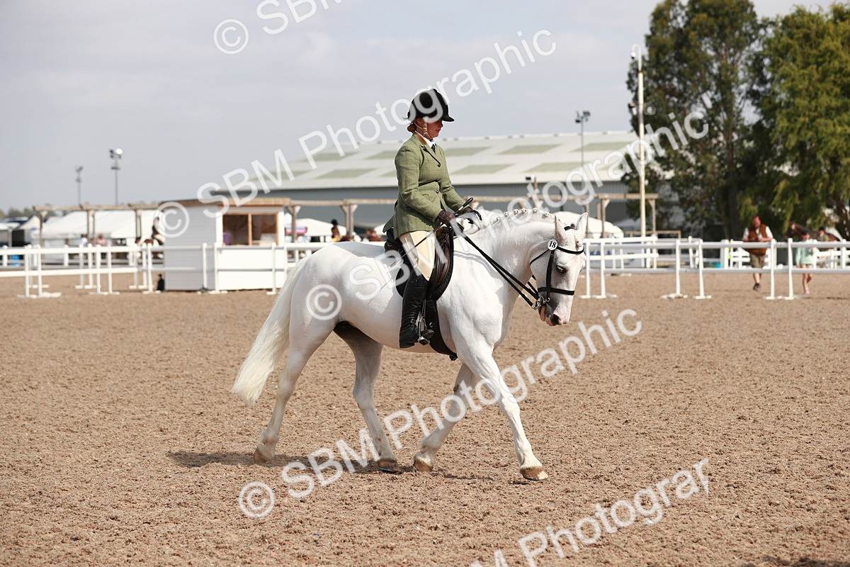 SBM_14909 - Class 212 Ridden Hunter - Small