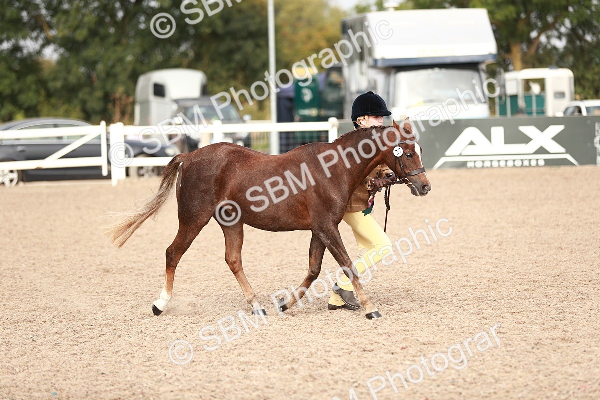 SBM_10644 - Class 204 Young Handler, 11-16 years