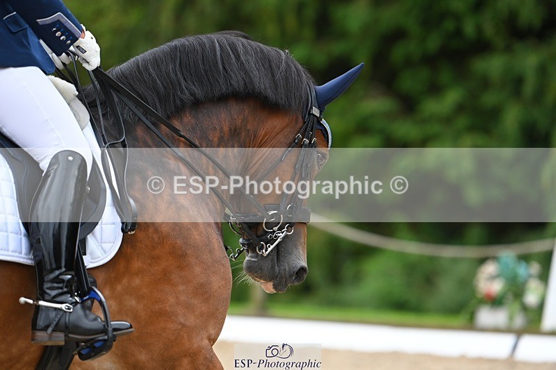 230813-142217-07748 - Cls 13 Medium Bronze 13.15 to End