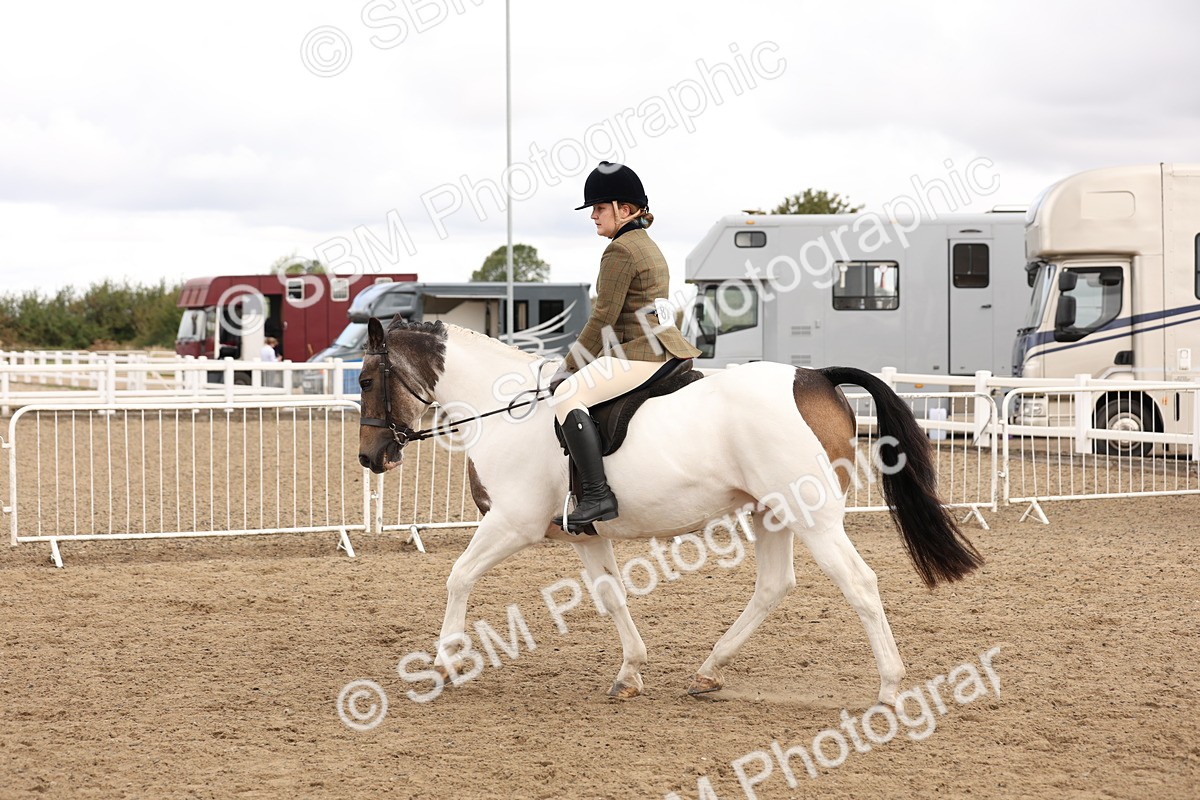 SBM_02882 - Class 53 - Ridden Competition Horse/Pony