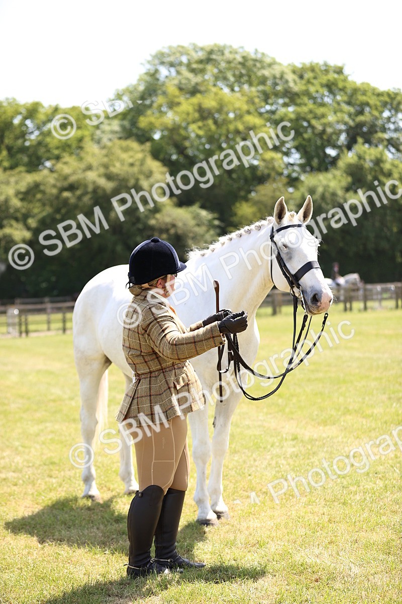 SBM_16167 - Class 79-80 - LIHS BSHA Rising Star Ridden Hunter