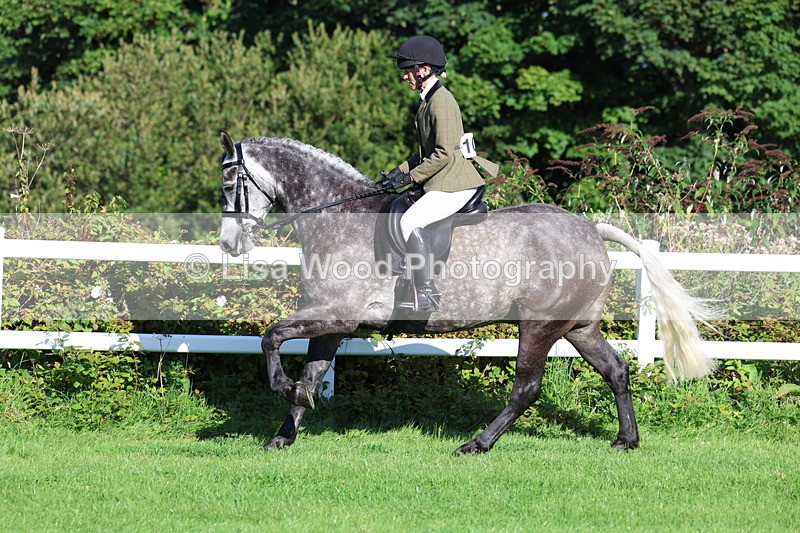 3E7A7614 - Class 1: Novice Working Hunter Pony