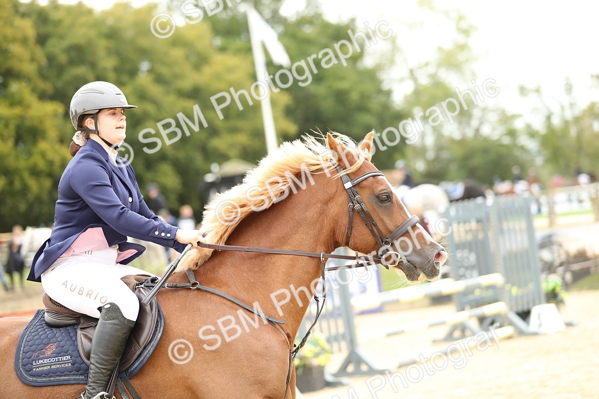 SBM_59407 - J25 - Junior Horse 80cm Championship