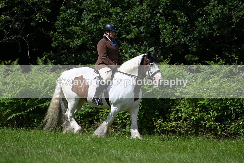 WJ7_1520 - Class 11 Condition & Turnout