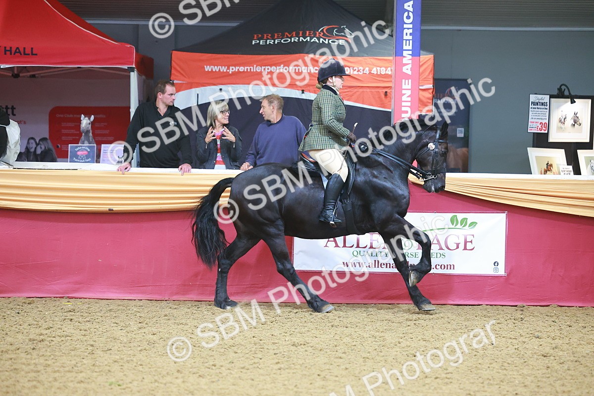 SBM_09631 - Class 102 - HOYS Veteran Qualifier - Ridden Veteran