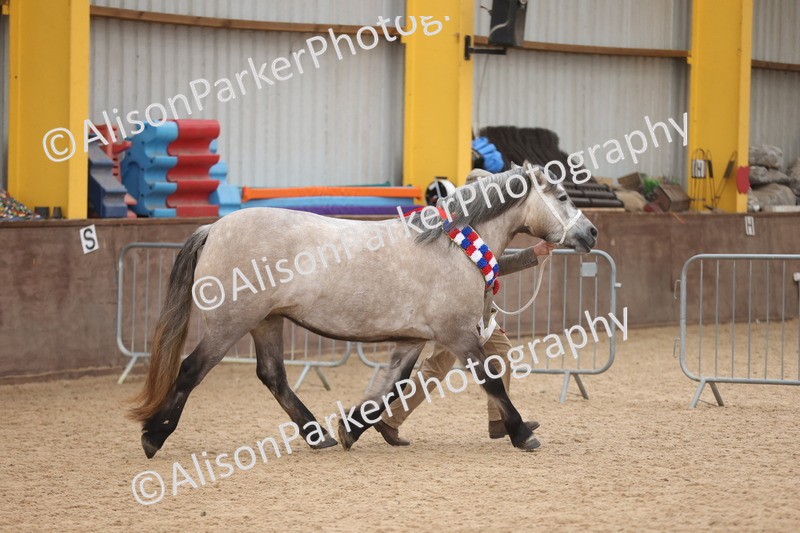 20251109-1252 - Supreme Championship