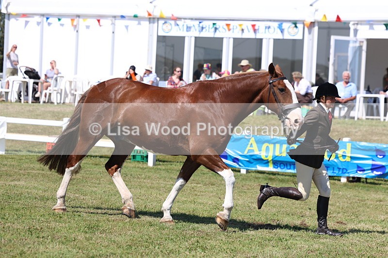 3E7A7364 - Class 5: Rising Star Lightweight/Heavyweight/Maxi Cobs