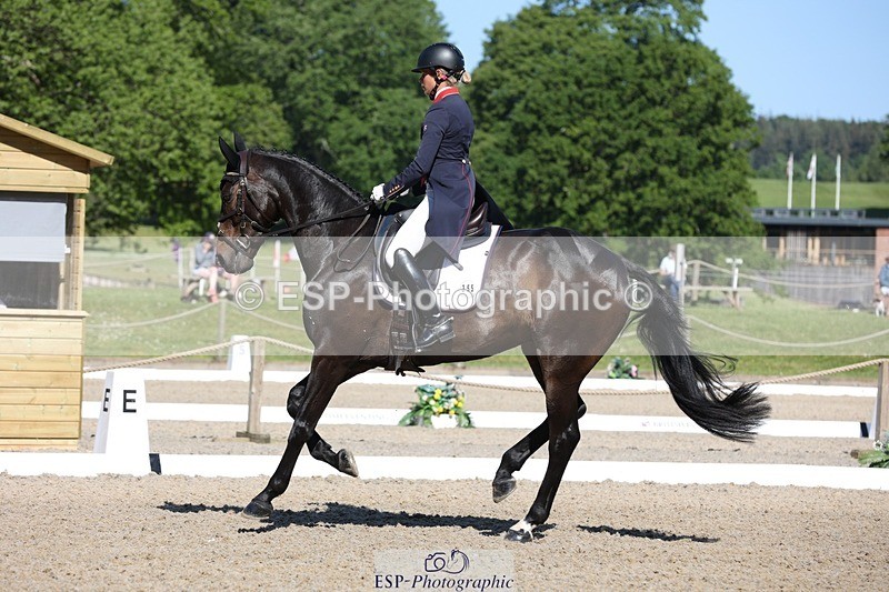 230526-093052-05086 - 355-JASON_KING-Izzy_Taylor-WEDTrotUp+DR