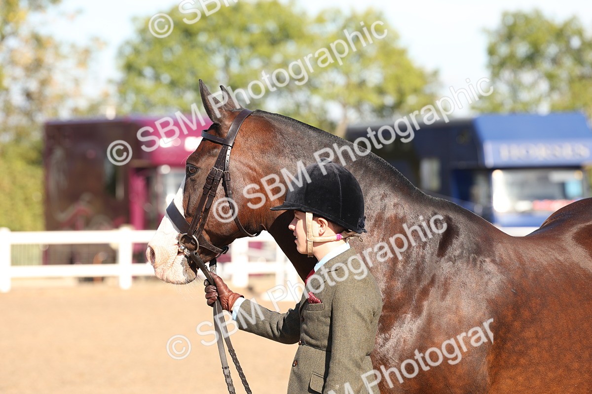 SBM_11753 - Class 204 - Young Handler 11 to 16 years