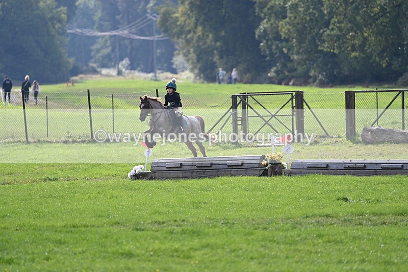 WJ7_4973 - 60cm Time 11:11 to 11:19