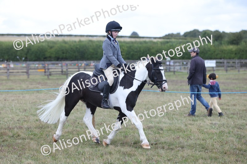 20250831-4232 - Class 20 - Ridden Coloured