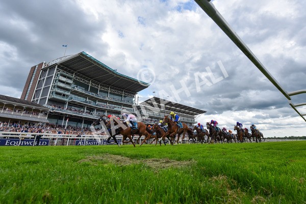 310525-Race 5-Frankies Dream-4015 - Race 5 3.50pm Reg Bond Always And Forever Handicap