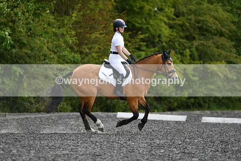 WJ5_1047 - Time 13:45 to 14:20