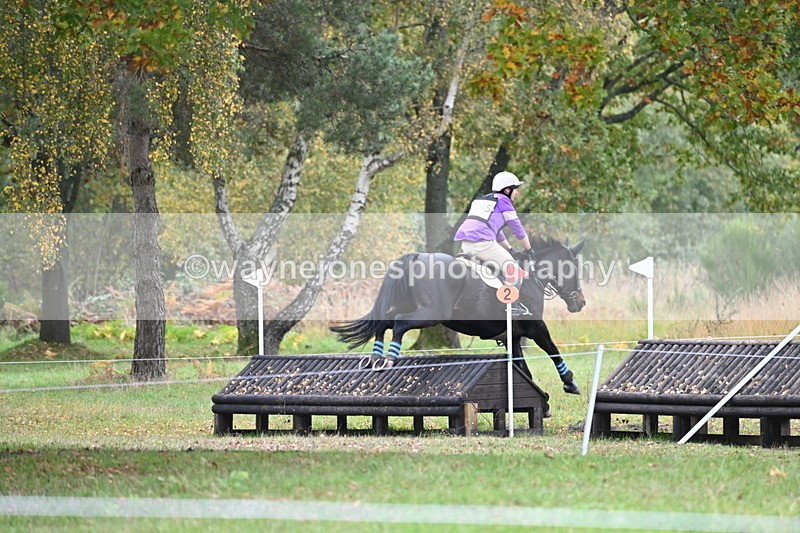 WJ6_4007 - 90cm Cam 1 Time 14:05 to 14:35