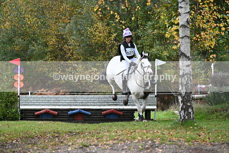 WJ7_2921 - 90cm Cam 2 Water Time 13:29 to 13:47