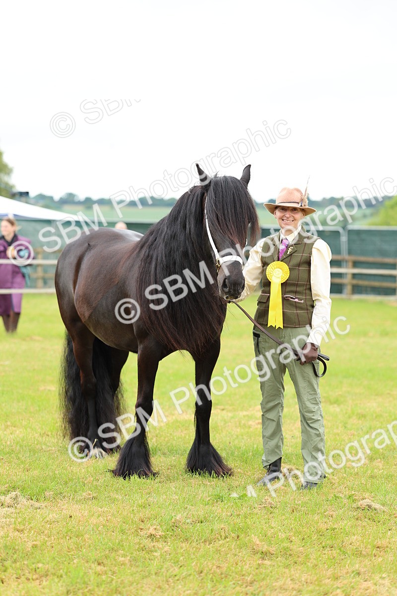 SBM_00579 - Class 58-67 - M&M Non Welsh Pony In hand