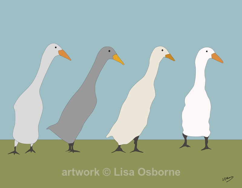 Runner ducks - DIGITAL ARTWORK
