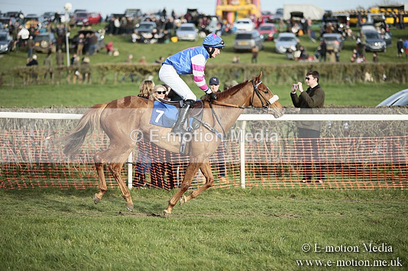 PtP 230319 503 - VWH Hunt Siddington Point-to-Point Racing 23/03/19
