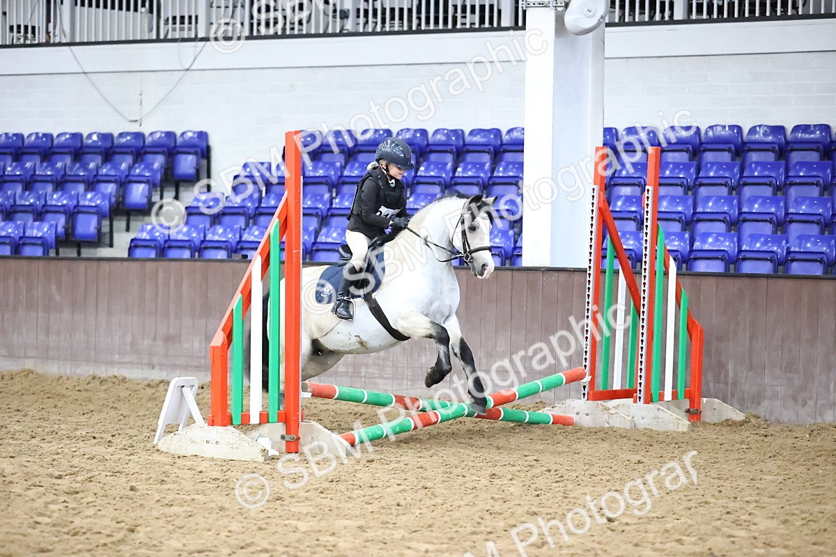 SBM_000255 - Class 2 - The Rug Lady 40cm Area 12 Championship Qualifier