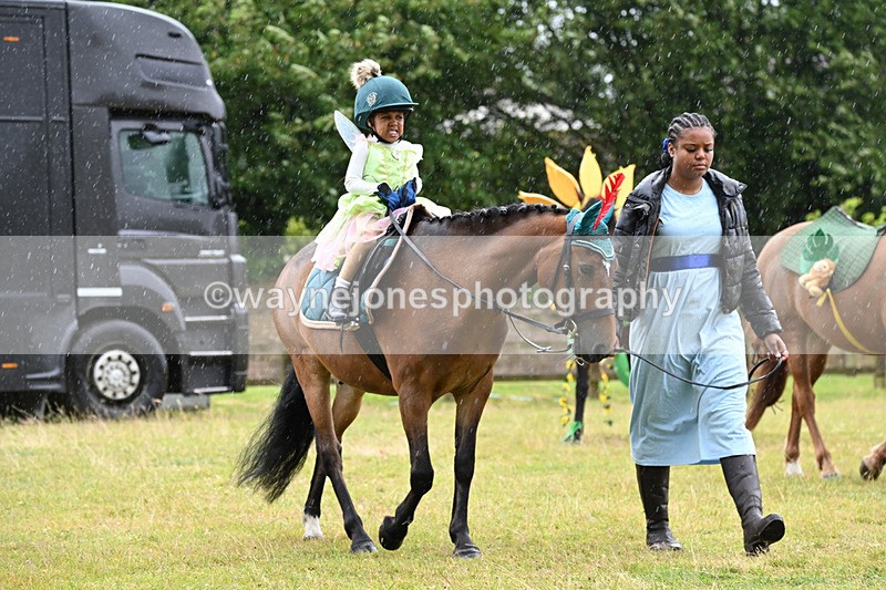 WJ6_9139 - Class 11 Fancy Dress