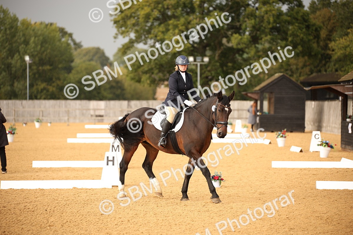 SBM_12345 - D3 Small  Tour Championship Intro A
