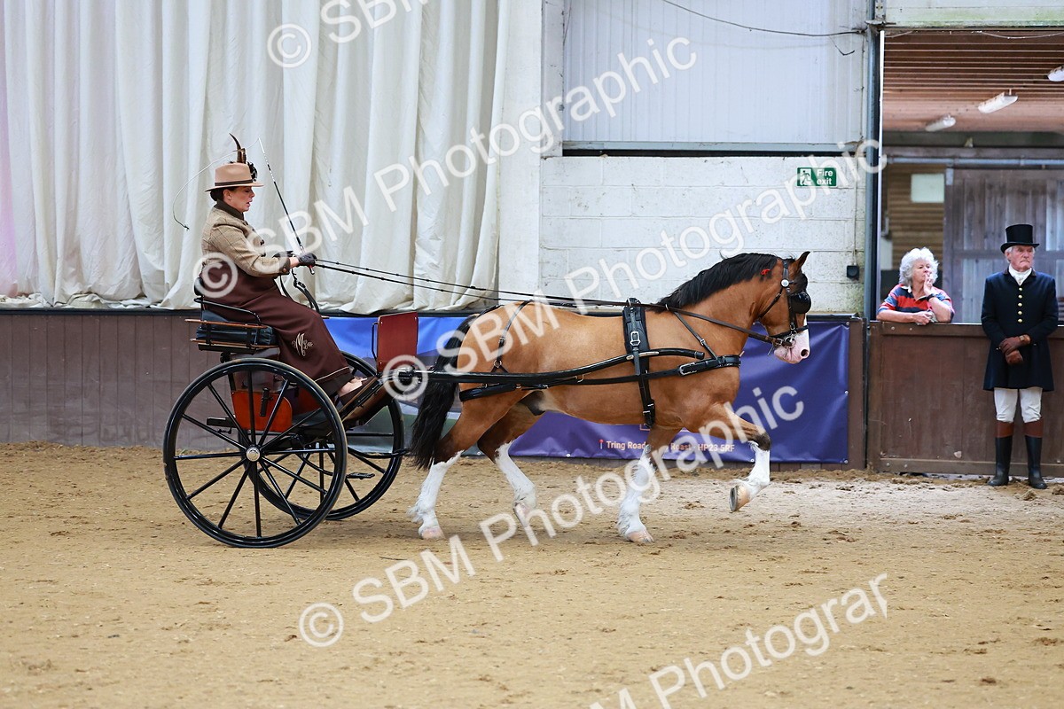 SBM_000141 - Class 3 - Alison Thomas Memorial Lady Whip