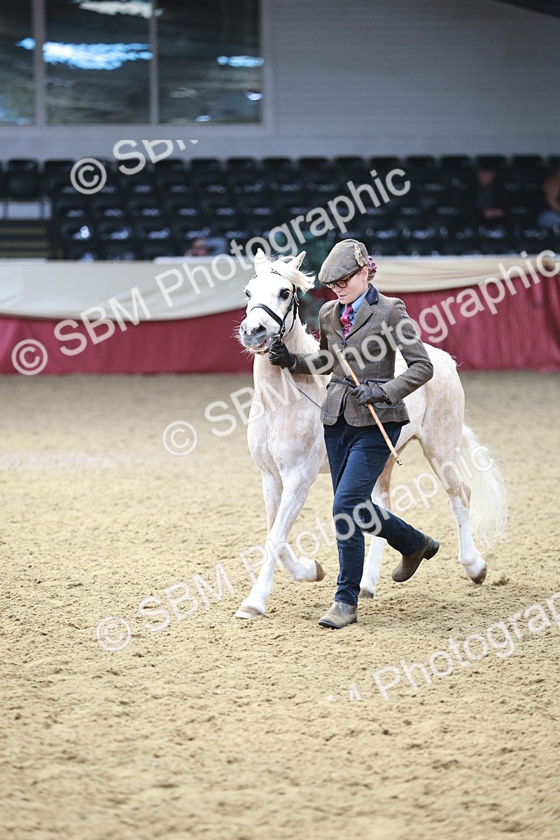 SBM_04783 - Class 7R - Regional IH Diamond