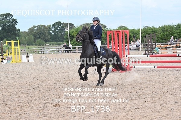 BPP_1736 - CLASS 12 Pony BritiNovice / 0.80m Open