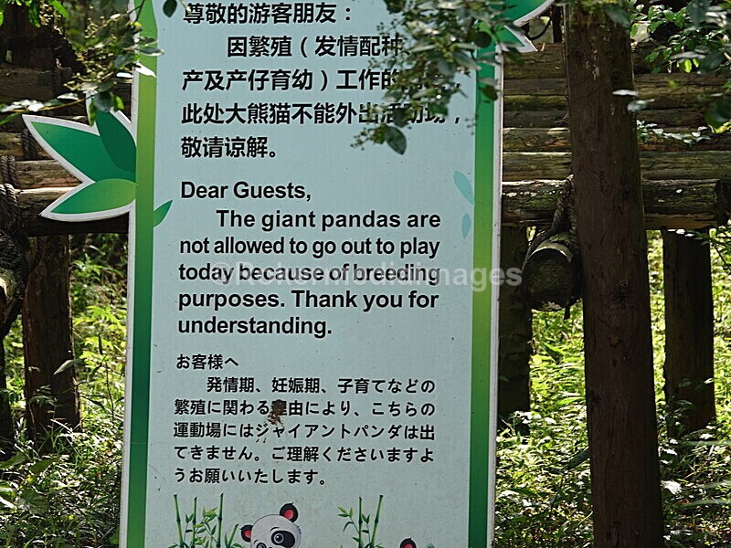 CHINA__0084 - China 2019