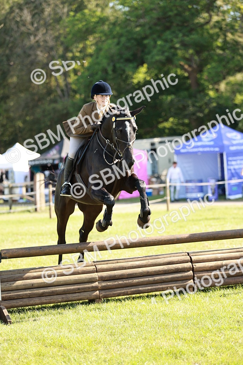 SBM_19162 - Class 115-116 - LIHS BSHA Rising Star Working Hunter & Show Horse