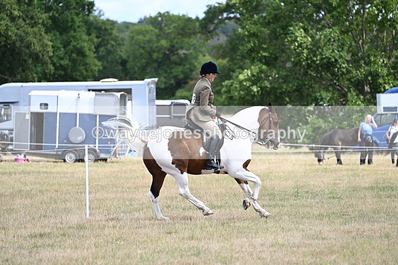 WJ7_5601 - Class 12 Ridden Cob