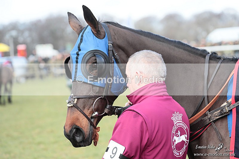 PtP 250126 19 - Cocklebarrow Races Point-to-Point 25/01/26