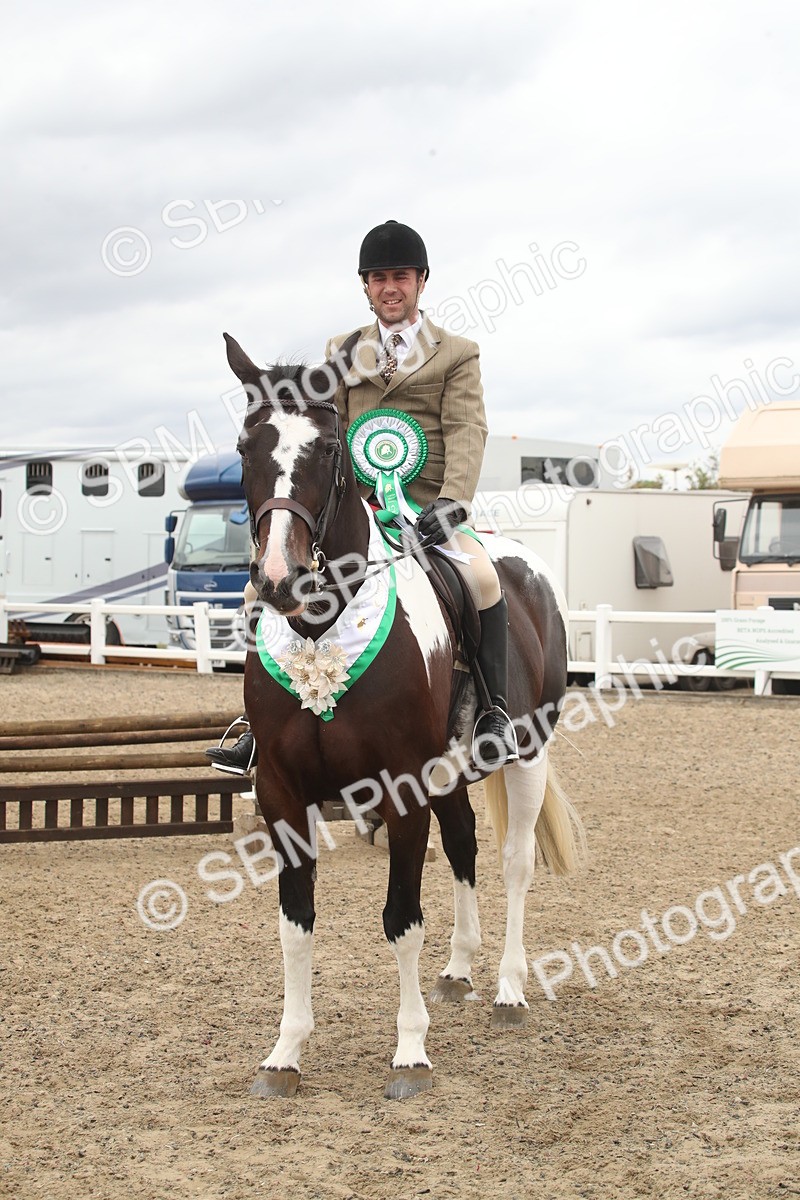 SBM_18327 - Class 509a - Working Veteran - 80cm (15-19)