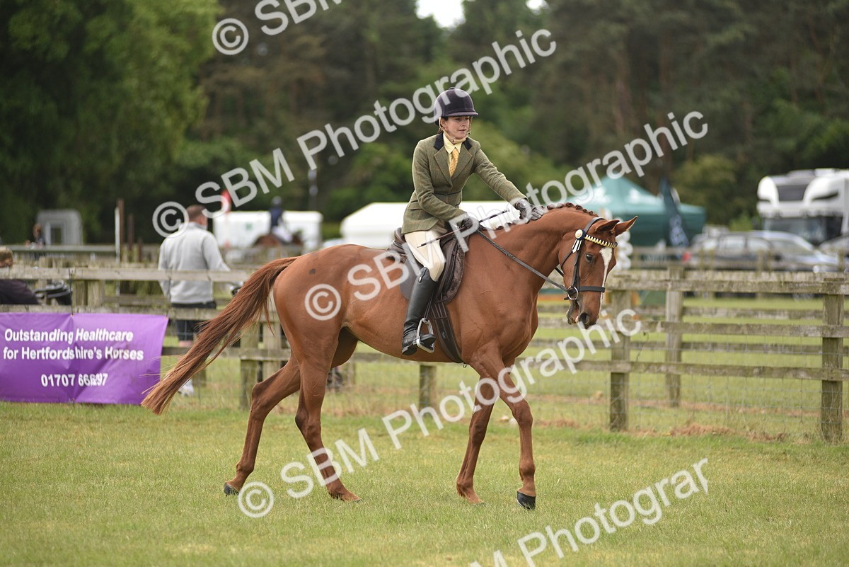 SBM_15129 - Class 113-114 - Retraining of Racehorses Ridden